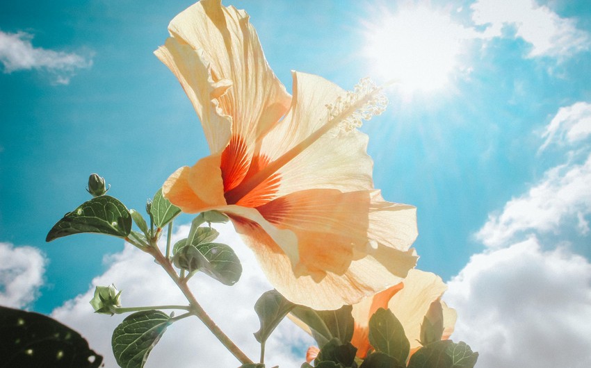 Azerbaijan weather forecast for August 4