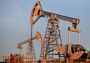 Следующий нефтяной конгресс запланирован на 2023 год в Канаде