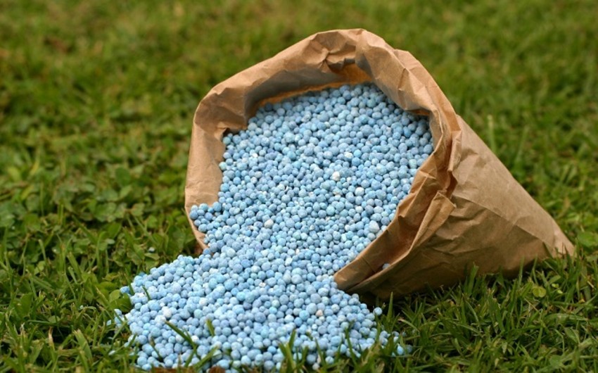 Azerbaijan becomes main supplier of organic fertilizer to Georgia