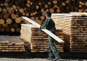 Экспорт продукции деревообработки из Беларуси в Азербайджан вырос на 20%