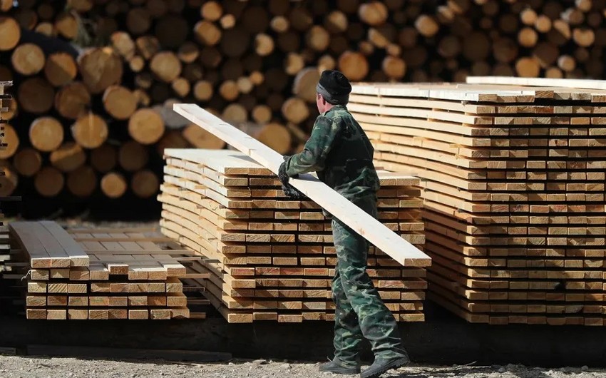 Экспорт продукции деревообработки из Беларуси в Азербайджан вырос на 20%