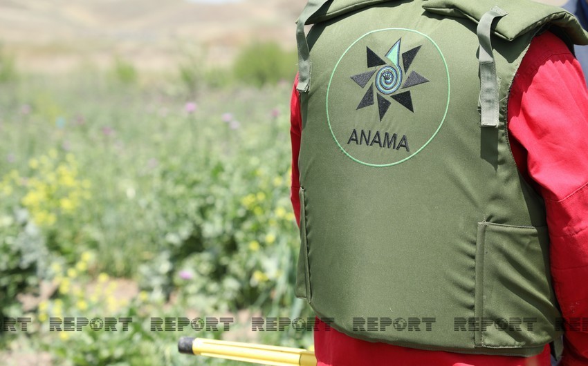 ANAMA reveals condition of its employee who suffered in Aghdam landmine explosion