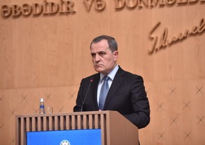 Глава МИД Азербайджана и комиссар ЕС обсудили вопрос разминирования освобожденных земель