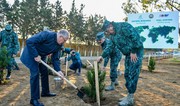 Over 2,000 Eldar pines planted to celebrate Victory Day and Green World Solidarity Year