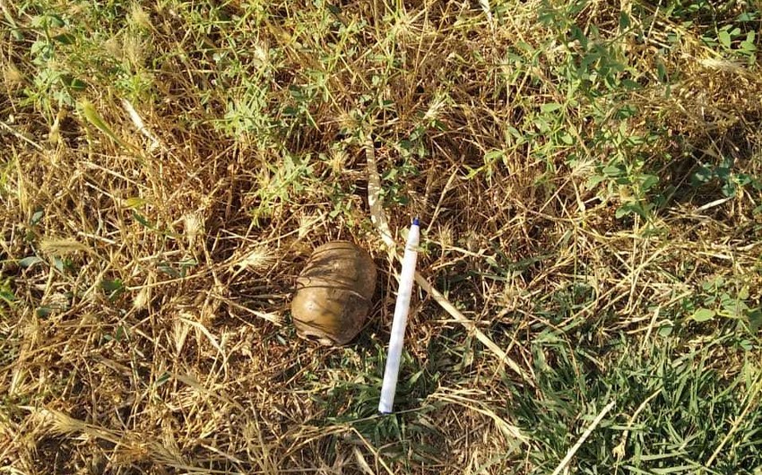 Füzuli rayonunda əl qumbarası aşkarlandı