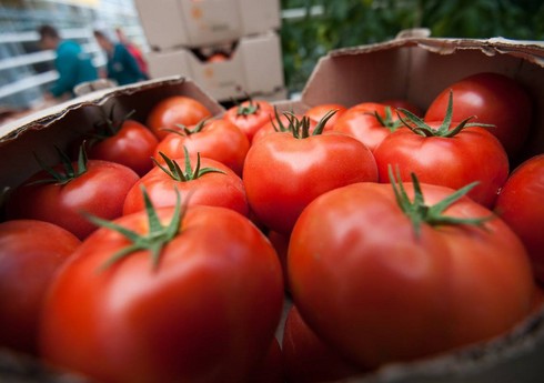 Азербайджан существенно увеличил импорт томатов из Туркменистана