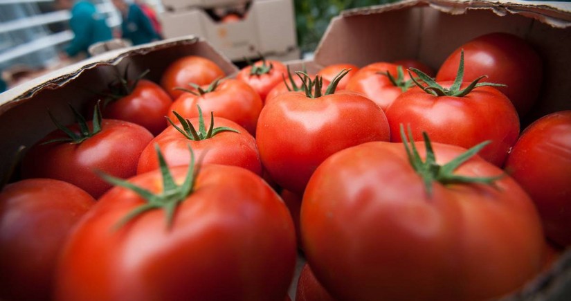 Azerbaijan records five-fold increase in tomato imports from Turkmenistan