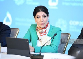 Azerbaijan’s COP29 champion: Harnessing business power to combat climate change