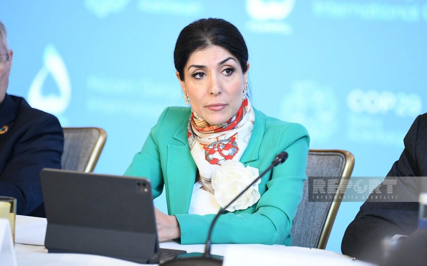 Nigar Arpadarai: İqlim məsələlərinin həllinə biznesin cəlb edilməsi COP29 üçün prioritetdir 