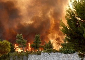 Новый лесной пожар бушует вблизи Афин