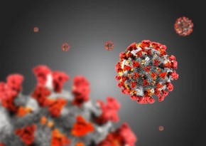 В Германии выявили новый штамм коронавируса омикрон