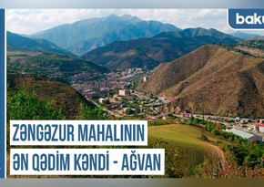 Qərbi Azərbaycan Xronikası: Zəngəzur mahalının ən qədim kəndi – Ağvan