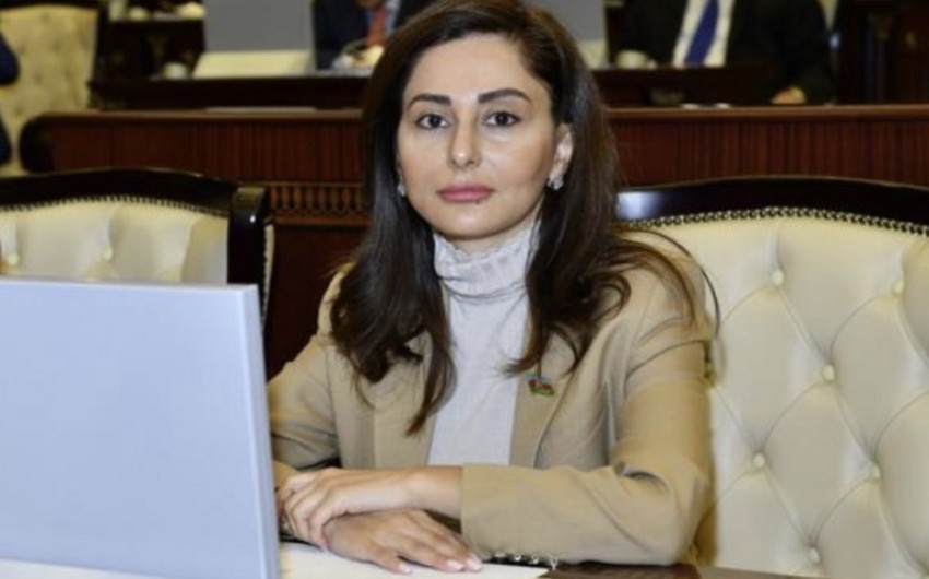 Deputat: İnsan hüquqlarına hörmət hər zaman Azərbaycan üçün prioritet məsələ olub