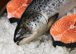 Azerbaijan resumes salmon imports from three countries