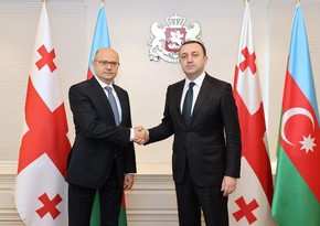 Пярвиз Шахбазов обсудил с премьер-министром Грузии энергетическое сотрудничество