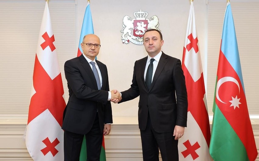 Azerbaijani Energy Minister and Georgian PM discuss energy cooperation 