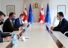 Georgian PM informs EU Special Representative about new peace platform