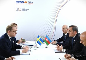 FMs of Azerbaijan and Sweden discuss current regional situation