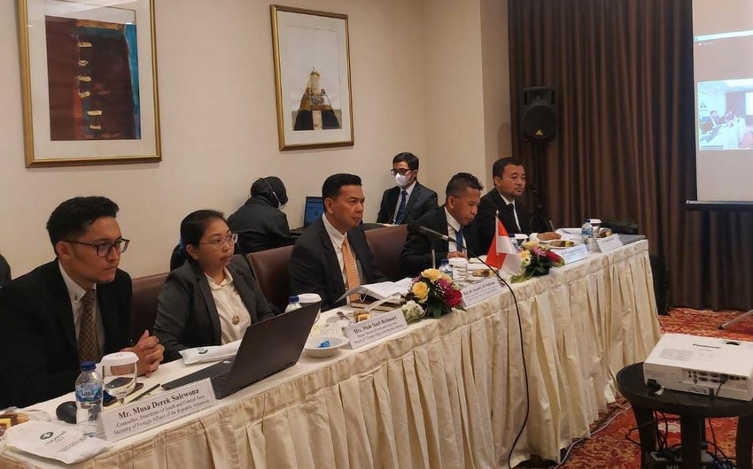 Political consultations held between Azerbaijani, Indonesian MFAs