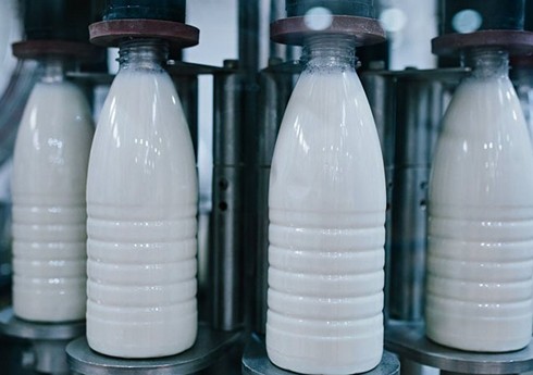 Азербайджан сократил импорт молока на 22%