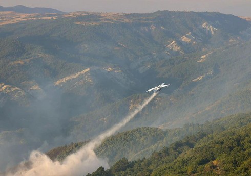 В Анталии начался лесной пожар, задействованы вертолеты и самолеты