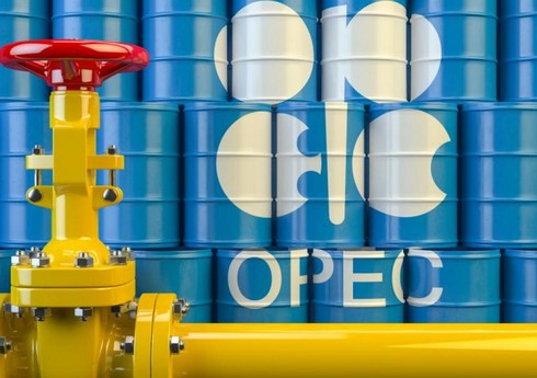 Fitch: ОПЕК+ не допустит перегрева рынка нефти