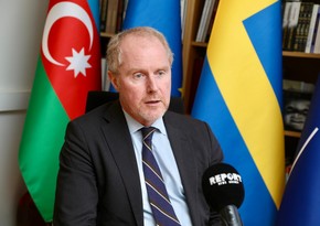 Climate Ambassador: Sweden ready to support Azerbaijan for COP29 success 