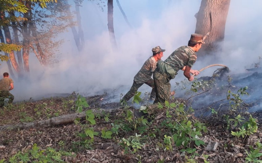 МЧС: Продолжаются меры по тушению пожара в лесной полосе в Ярдымлы