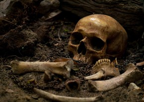 В Петербурге обнаружили более 40 фрагментов костных останков человека начала XX века