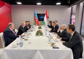 Парвиз Шахбазов: До конца года Азербайджан сможет поставлять газ в Венгрию