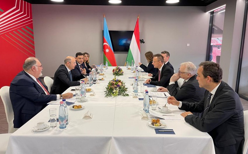 Парвиз Шахбазов: До конца года Азербайджан сможет поставлять газ в Венгрию