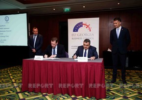 Caspian Energy Club будет сотрудничать с бизнес-советом ЕС-Грузия