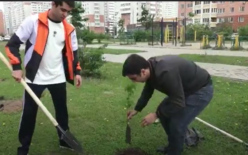 По инициативе Лейлы Алиевой в Балашихе провели экологическую акцию 