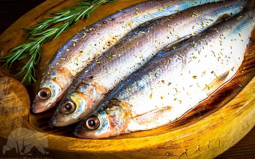 Azərbaycan Estoniyadan siyənək balığı tədarük etməyə başlayıb