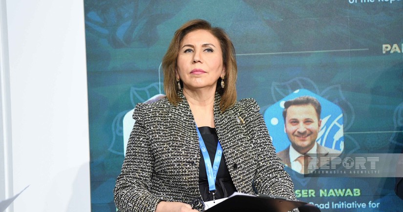 Bahar Muradova: 1 milyarddan çox gənc iqlimlə bağlı fəlakətlərə həssas olan ərazilərdə yaşayır