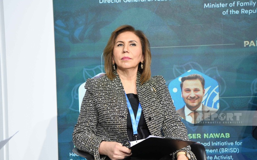 Bahar Muradova: 1 milyarddan çox gənc iqlimlə bağlı fəlakətlərə həssas olan ərazilərdə yaşayır