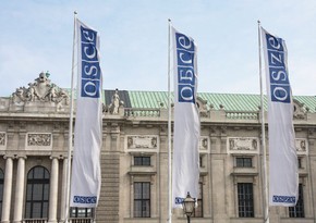 OSCE Permanent Council to hold special meeting in Vienna