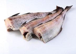 Azərbaycan Sverdlovskdan 23 tondan çox dondurulmuş mintay balığı idxal edib
