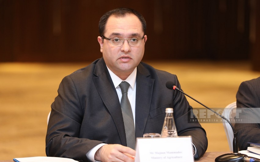 Agriculture Minister: Only 12-15% of registered farmers can obtain loans in Azerbaijan