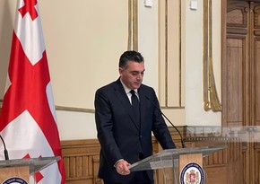 Дарчиашвили: Грузия приложит все усилия для мира между Азербайджаном и Арменией