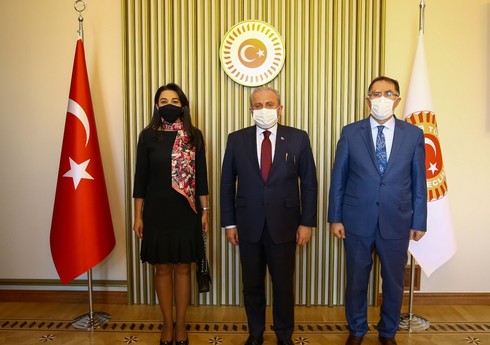 Омбудсмен Азербайджана встретилась с председателем парламента Турции 