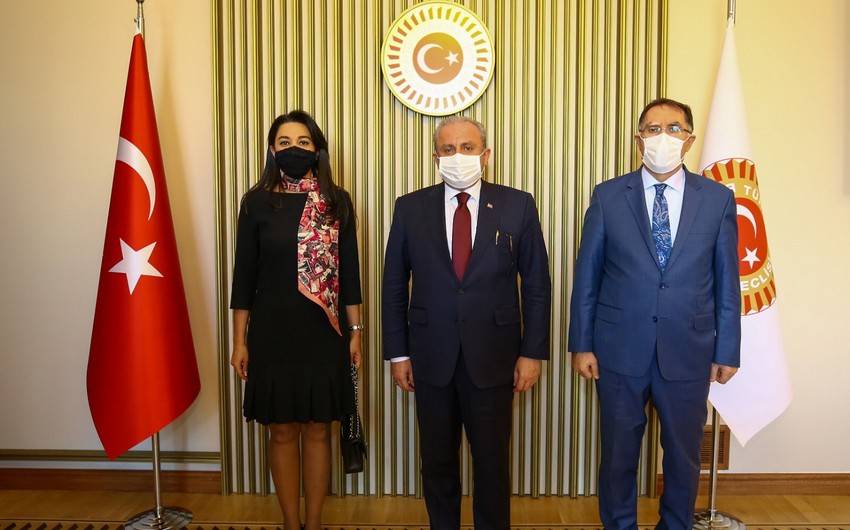Омбудсмен Азербайджана встретилась с председателем парламента Турции 
