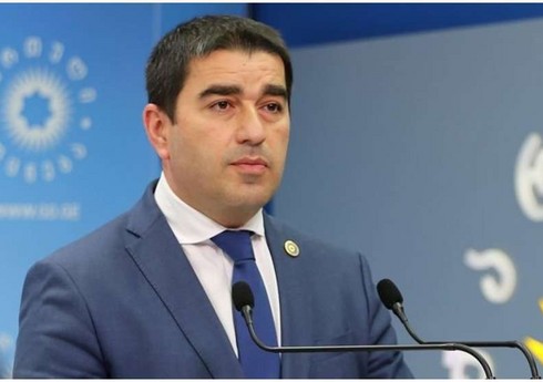 Папуашвили: Президент Грузии может помиловать Саакашвили