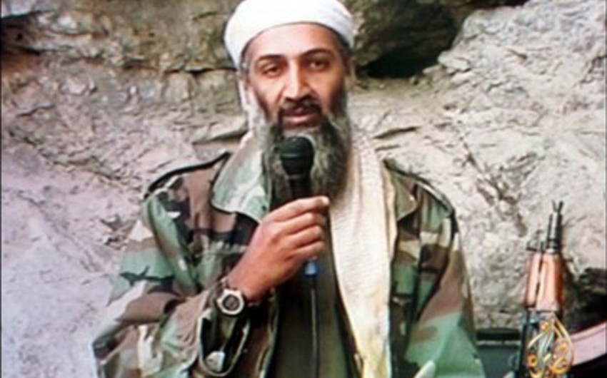 Media: Bin Laden family killed in UK plane crash