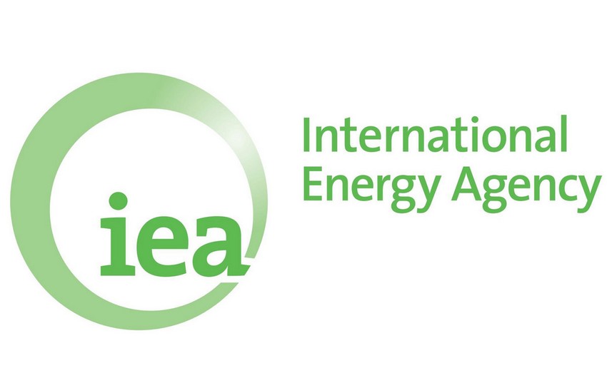 IAE predicts 2.4% increase in global electricity demand in 2022