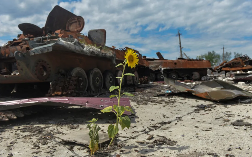 Ukraine estimates environment damage from Russia invasion at $35B