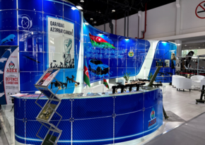 Azerbaijan participating in international defense exhibition in Abu Dhabi