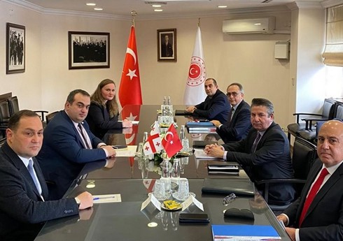 МИД Турции и Грузии обсудили региональную безопасность
