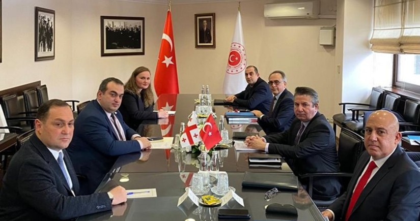 МИД Турции и Грузии обсудили региональную безопасность