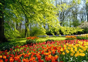 Azerbaijan welcomes spring today